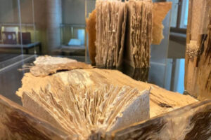 Praha NTM - expozícia starých kníh